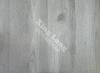 44P DV1460.jpg class=